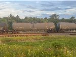 CTCX 732558